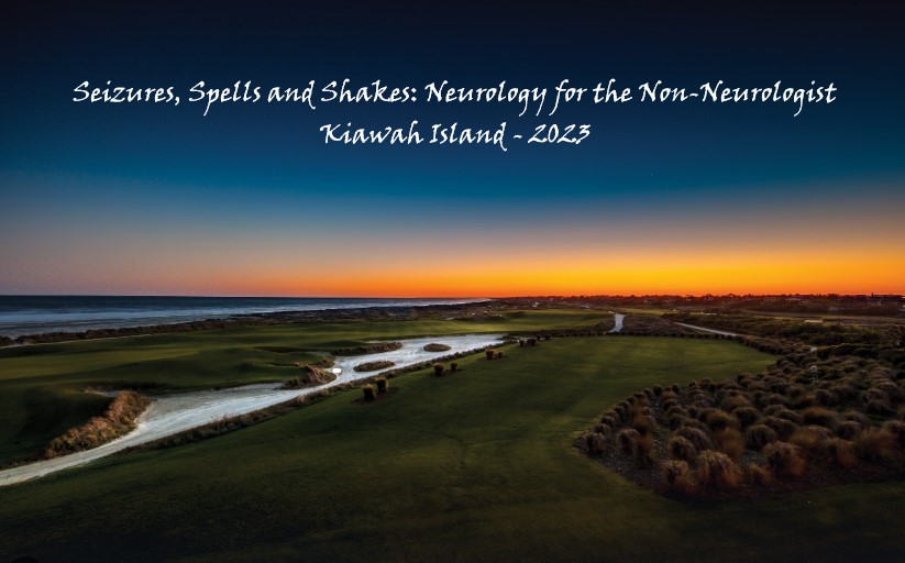 Seizures, Spells and Shakes: Neurology for the Non-Neurologist 2023 - Kiawah Banner